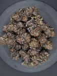 Instagram Biscotti Gelato™