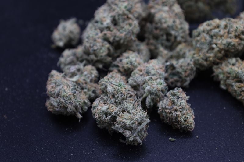 Instagram Garlic Mint Sherbet Auto