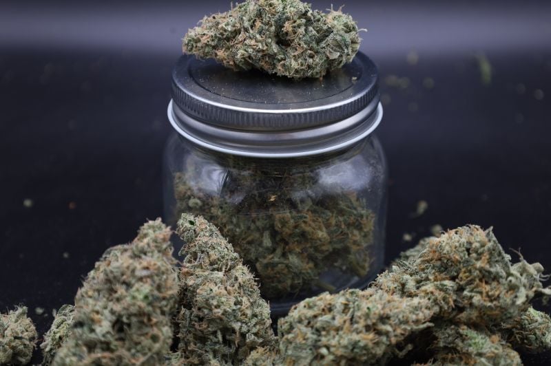 Instagram Garlic Mint Sherbet Auto