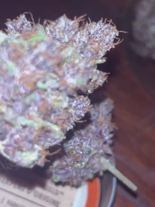 Lemon Cherry Cookies Auto @JoExotic GD 2