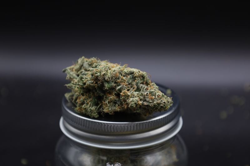 Instagram GMO Auto