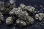 Instagram Mango Frost Auto™