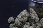 Instagram Garlic Mint Sherbet Auto™