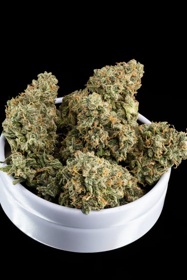 Instagram Rhino Ryder Auto