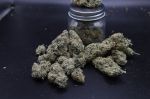 Instagram Garlic Mint Sherbet Auto™