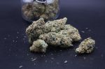 Instagram Guava Runtz Auto™