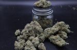 Instagram Garlic Mint Sherbet Auto™