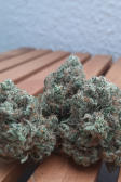 Instagram Gorilla Melon™