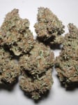 Instagram Purple Punch Auto