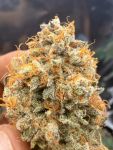 Instagram Banana Cherry Cookies Auto™