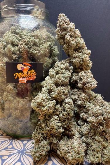 Instagram Mimosa Cake Auto