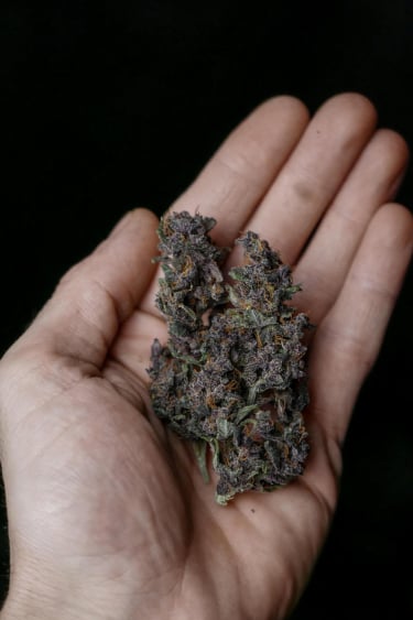 Instagram LSD25 Auto