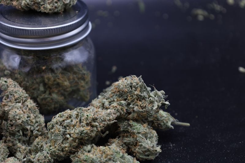 Instagram Garlic Mint Sherbet Auto