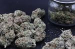 Instagram Sundae Frost Auto™