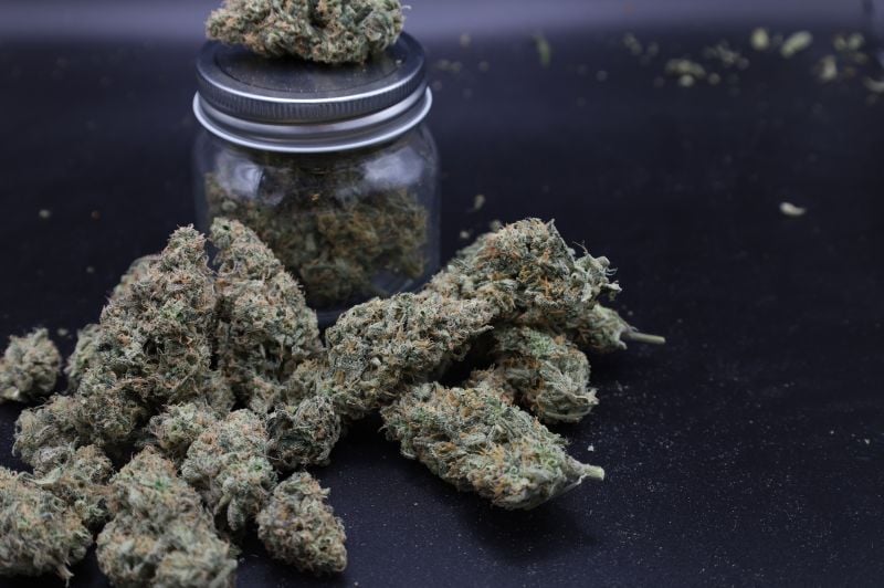 Instagram Garlic Mint Sherbet Auto