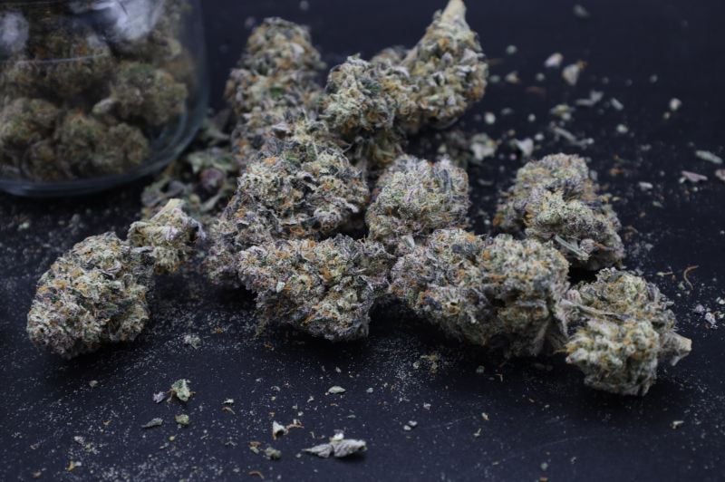 Instagram Mango Frost Auto