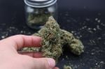 Instagram Mendo Frost Auto™