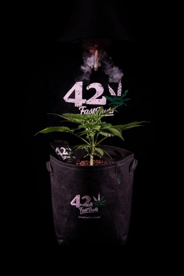 Instagram Black Hoodie