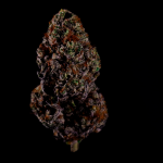 Instagram Gorilla Melon™