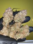 Instagram Papaya Cookies Auto™