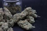 Instagram Garlic Mint Sherbet Auto™