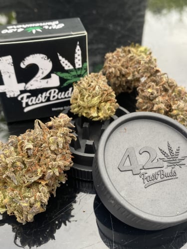 Instagram Blueberry Auto