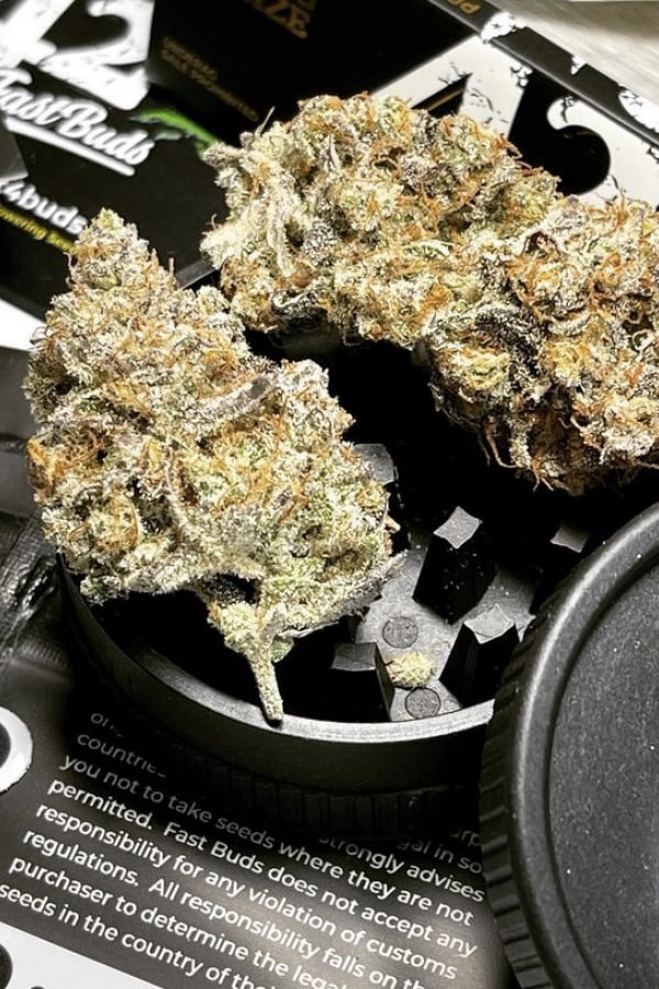 Instagram Hemp grinder