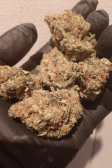 Instagram Lemon Mandarin™