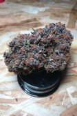 Instagram Purple Punch Auto
