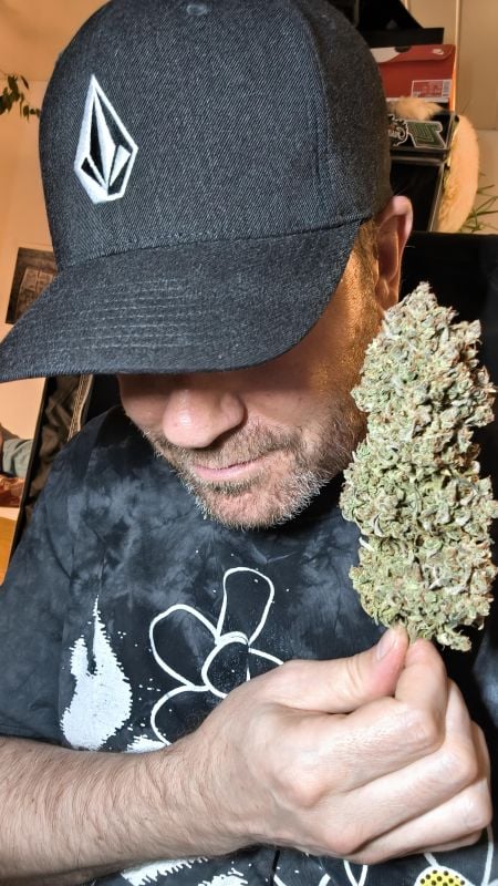 Instagram OG Kush Auto