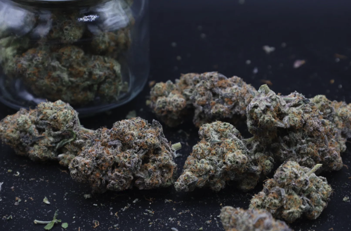Instagram Cherry Cookies Trial Pack