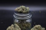 Instagram Garlic Mint Sherbet Auto™