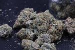 Instagram Mendo Guava Auto™