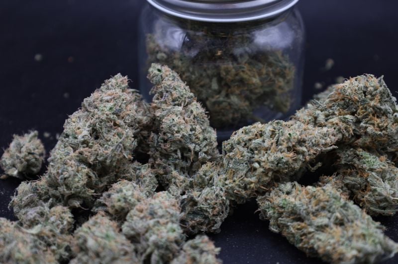 Instagram Garlic Mint Sherbet Auto