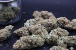 Instagram Guava Sundae Auto™