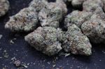 Instagram Sundae Frost Auto™