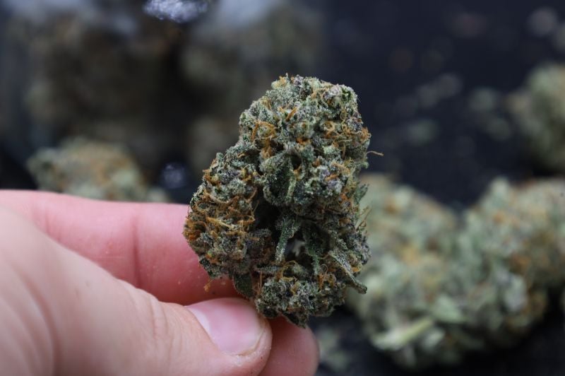 Instagram Mendo Cherry Cookies Auto