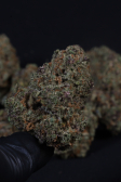 Instagram Cherry Cola Auto RF3™