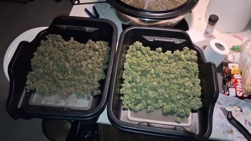 Frostbanger Auto @gitty1625 DIS 