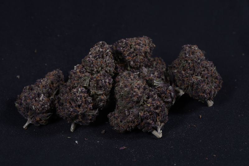 Instagram Mix Pack Auto RF3