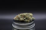 Instagram Pineapple OG Auto™