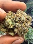Instagram Banana Cherry Cookies Auto™