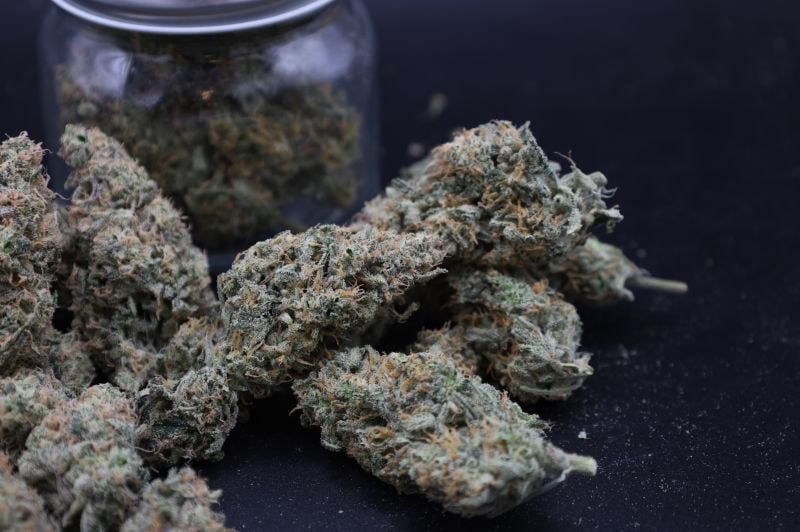 Instagram Garlic Mint Sherbet Auto