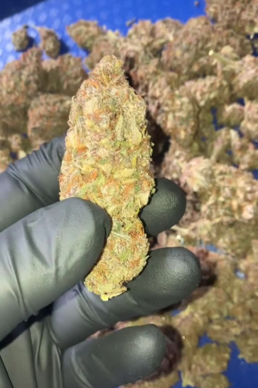 Purple Lemonade Auto