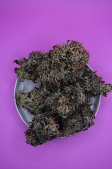 Instagram Wedding Glue Auto