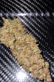 Instagram Gelato Auto