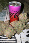 Instagram Cherry Cola Auto