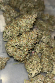 Instagram Gorilla Punch Auto
