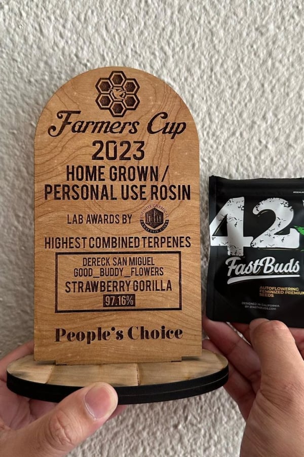 Instagram AUTO | Strawberry Gorilla Auto