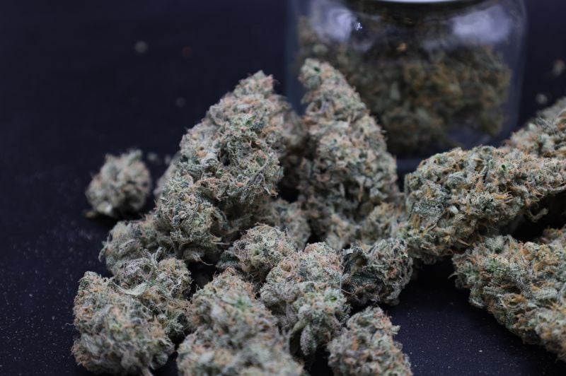 Instagram Garlic Mint Sherbet Auto